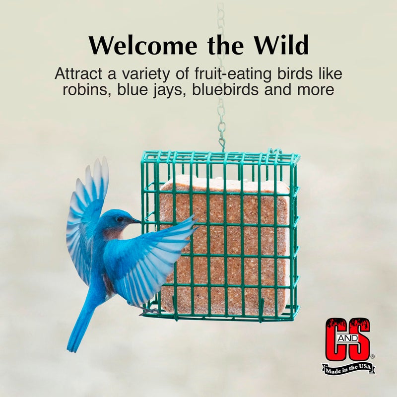 CS C&S Berry Suet Treat 11.75 Ounces, 12 Pack - Image 3